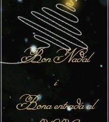 Bon Nadal i bona entrada al 2026!