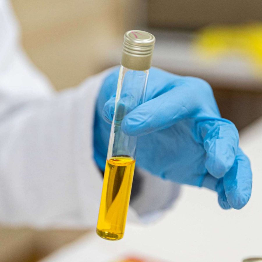 Institut-Castellarnau-Control-Plagues